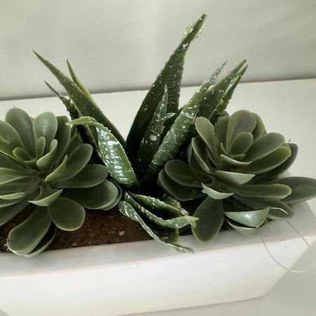 Apartament Laura Z Ogrodkiem キェルツェ エクステリア 写真